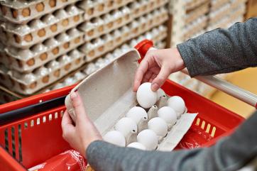 Минсельхоз прогнозирует скорое снижение розничных цен на яйца